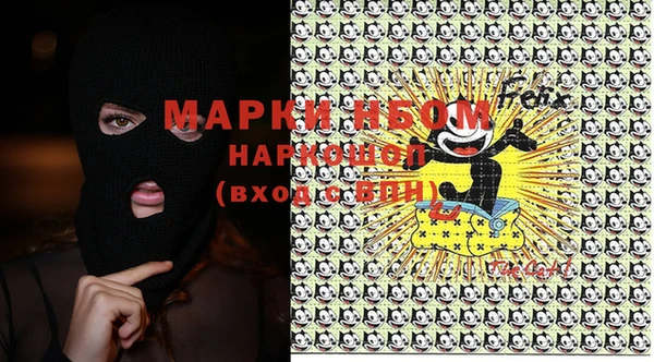 стаф Новозыбков
