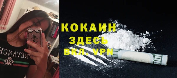 прущие грибы Абдулино