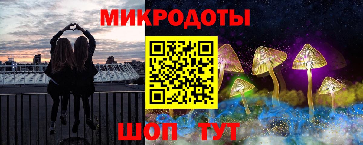 Галлюциногенные грибы Psilocybe Приморско-Ахтарск