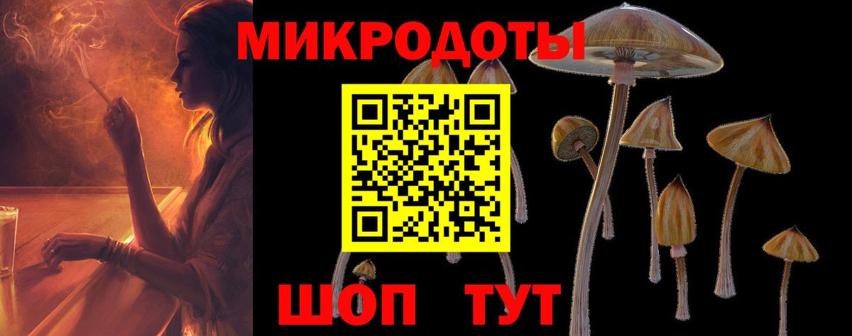 Приморско-Ахтарск  Псилоцибиновые грибы Psilocybe  Вход с VPN 