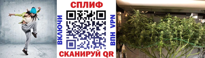 Конопля Ganja Приморско-Ахтарск